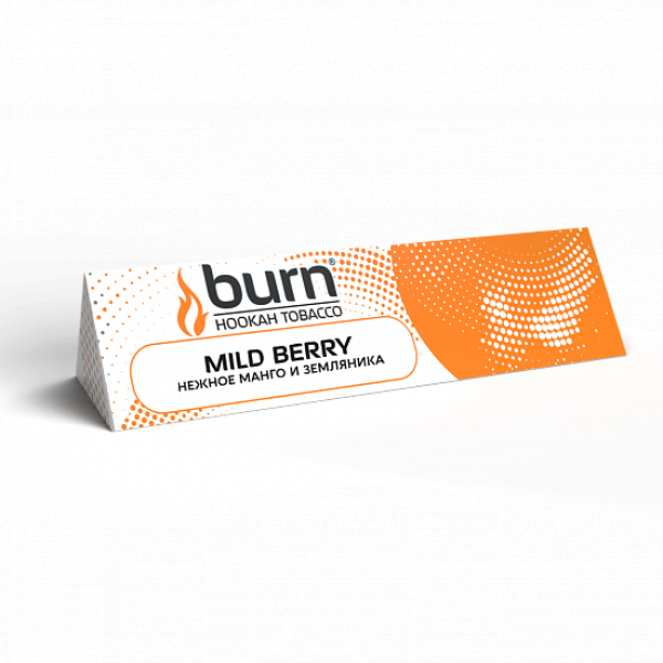 Табак BURN MILD BERRY 25 грамм в Самаре