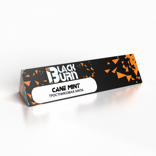 Табак BlackBurn Cane Mint 25 грамм в Самаре