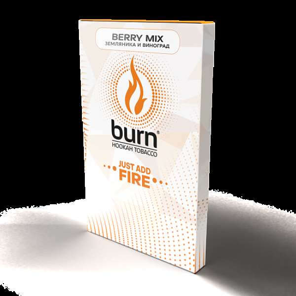 Табак Burn Berry Mix  100 грамм в Самаре