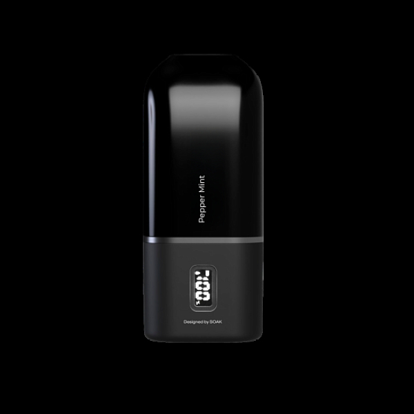 Электронка Soak 13 Pepper Mint Перечная Мята 13000 затяжек в Самаре